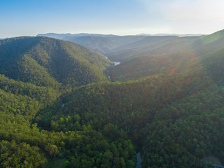 Naklejka premium Byron Bay national Park bushlands, Australia