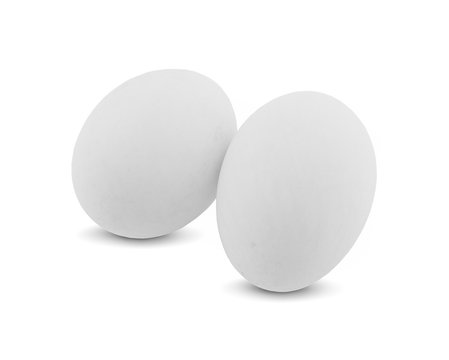 white egg isolated on white background