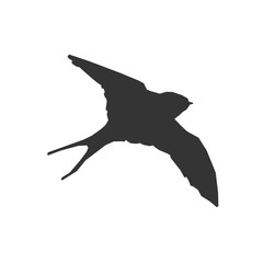bird flying icon vector illustration for graphic design and websites
