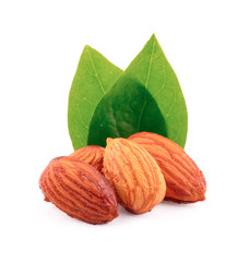 almond isolated on white background
