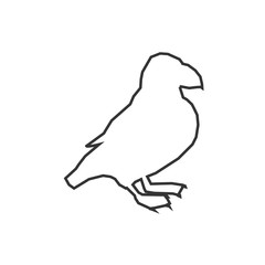 bird icon vector illustration for graphic design and websites