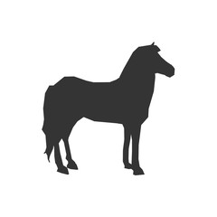 horse animal icon vector illustration for graphic design and websites