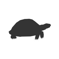 tortoise icon vector illustration for graphic design and websites