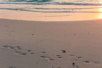 Human and dog footprints at the beach. Sunrise colors, friendship