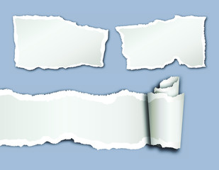 Torn paper. Pieces of ripped pages and curled paper with space for text 