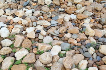 colorful stone and real green grass background 