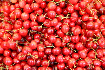 Cherries background
