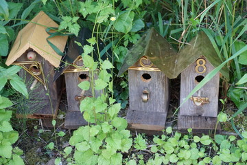 Neighborhood for Birds