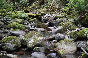 Its a Waterfall Hike