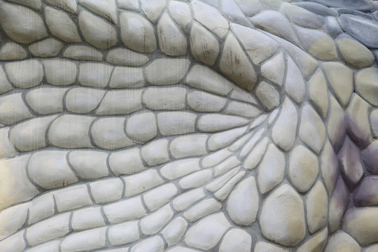Close up background with a belly crocrodile 