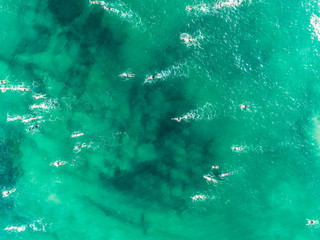 Swimmers at Manly beach, Sydney, Australia