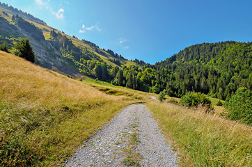 The walking path with mountain landscape at the background