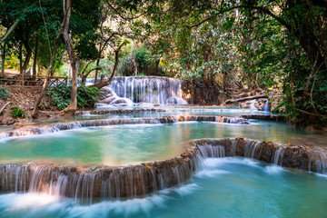 waterfall in the forest