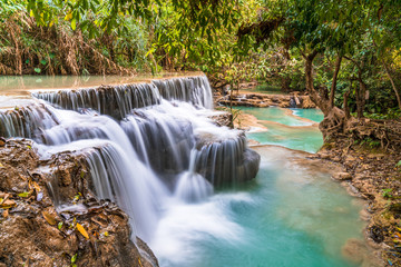 waterfall in forest