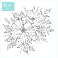 Hand Drawn Botanical Flowers. Set of plant elements. Vector Collection of Illustrations