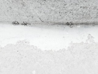 Galvanized sheet with rust stains