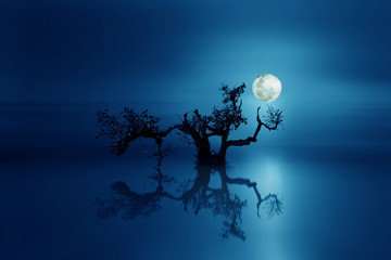 Black tree in a blue night  