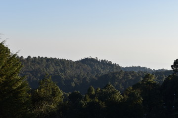 BOSQUE DESDE LAS MONTAÑAS