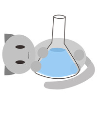 Gray cat hugging an Erlenmeyer flask