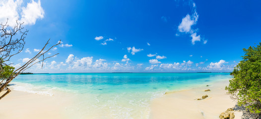 Maldive Beautiful Nature Scenery colorful beach view best place to visit in the world Funadhoo Island blue cloudy sky with palm trees amazing beach view