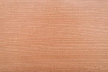 Wooden texture background with natural pattern