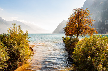 Trees and plants growing on the shore of beautiful Garda lake in Lombardy, Italy surrounded by high dolomite mountains. Sun beams penetrating from above the rocks and warming misty fog above the water