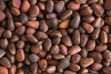 Pine pine nuts
