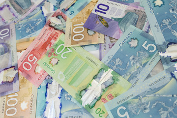 Canadian dollar bills or banknotes