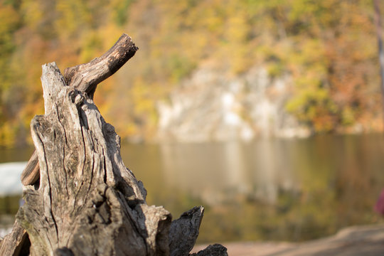 Wooden snag on the background of the lake in autumn Parz Lich Armenia
