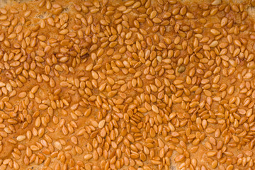 texture detail of whole-grain seed.