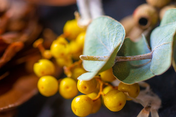 ドライフラワー