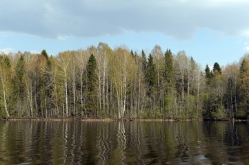 Fototapeta na wymiar Sheksna River. Vologda Oblast. Russia