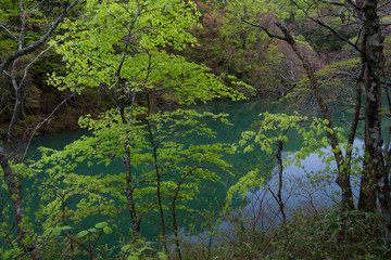 十二湖／中の池／青森県深浦町