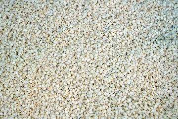 sesame food textures, selective focus