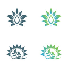 Abstract leaf logo vector symbol. Foliate symbol design.