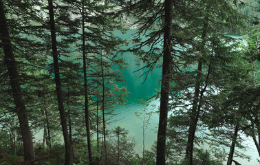 Background. Wallpaper. Coniferous trees on a background of turquoise mountain lake with clear water. Morskie Oko. Tatra Mountains. Tatra National Park