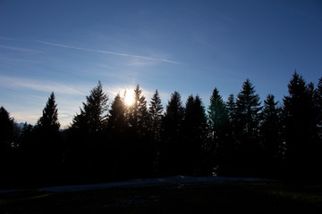 sunset in the winter forest
