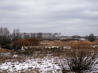 Beautiful landscape of the beginning of winter. Dry grass in the meadow is covered with the first snow. Cloudy winter day. Beautiful view of a snowy field at the end of autumn.