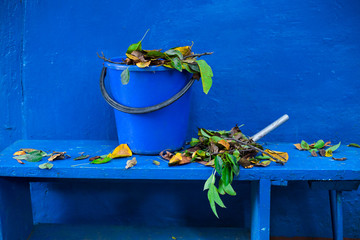 Seasonal cleaning of falling leaves in backyard (back yard, court yard) with garbage bin, broom and...