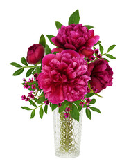 Bouquet of pink peonie flowers in a glass vase