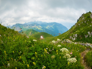 Naklejka na ściany i meble Summer landscape of Switzerland nature at Rochers-de-Naye