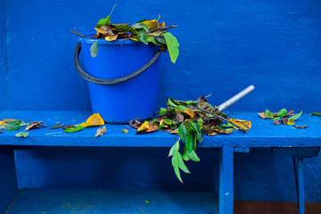 Seasonal cleaning of falling leaves in backyard (back yard, court yard) with garbage bin, broom and...