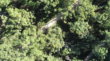 Rising above Australian bush in outback