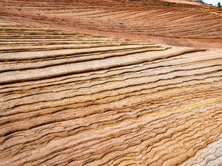 Rock Formations in Zion National Park