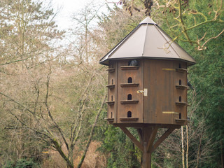 Wooden pigeon house with pigeons in a park