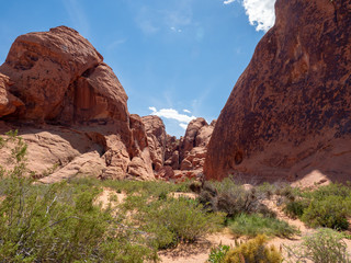 Atlatl Rock, Valley of FIre State Park, Nevada, near Las Vegas, sunny spring day, USA