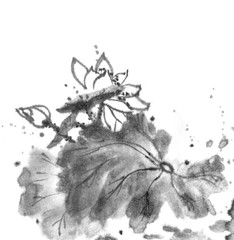 Lotus, ink image. Handmade ink lotus flowers on a white background. Sumi-e traditional Japanese ink painting.
