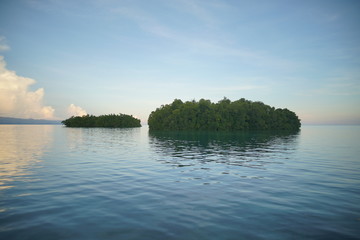 Twin Island