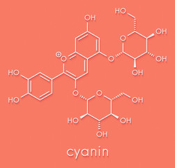 Cyanin or cyanidin-3,5-O-diglucoside molecule. Present in pomegranate juice. Skeletal formula.