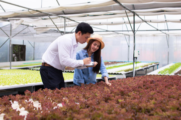 Farmer woman checking hydroponic vegetable with Product importer in farm